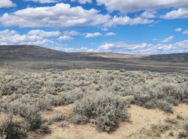 Delargo Lane, Belfry, MT 59008
