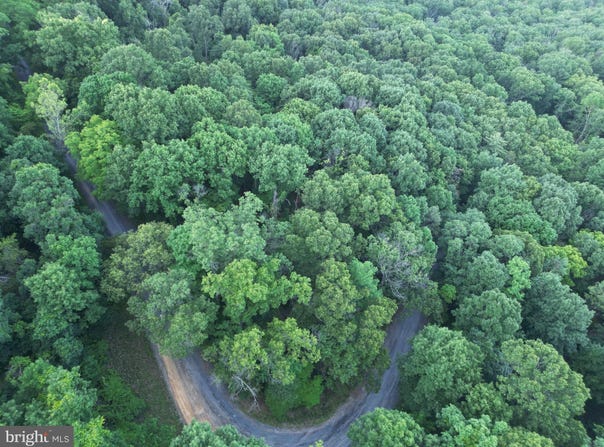 ROLLY RD, MOUNT JACKSON, VA 22842