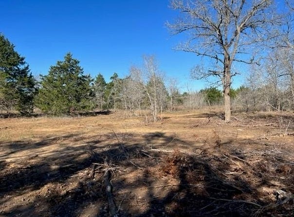 000 Grassyville RD, Paige, TX 78659