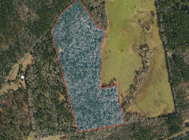 AB 247-2 CR 416, San Augustine, TX 75972