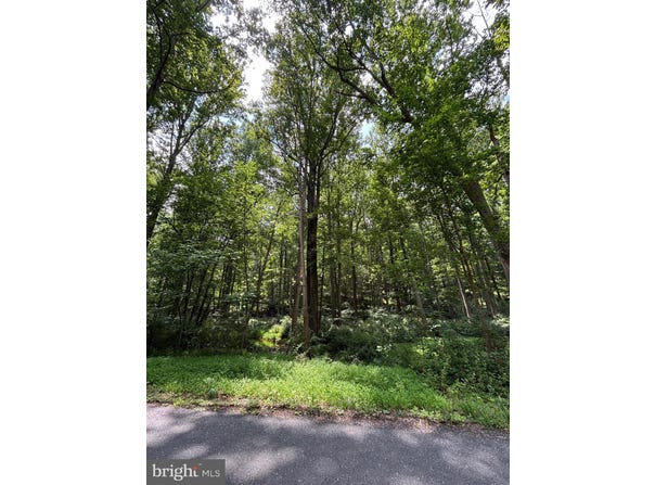 BEAR BRANCH ROAD, WESTMINSTER, MD 21157