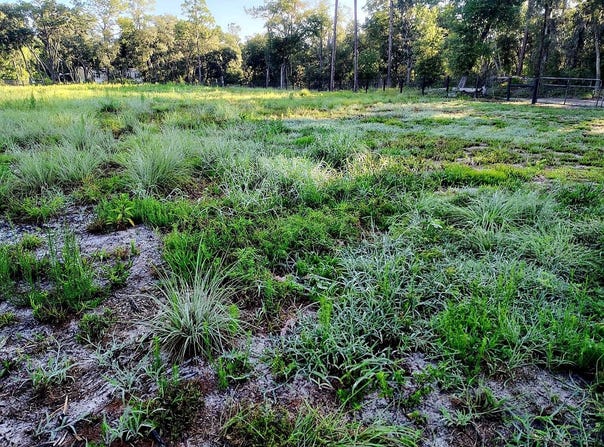 0 SW 153 LANE, DUNNELLON, FL 34432