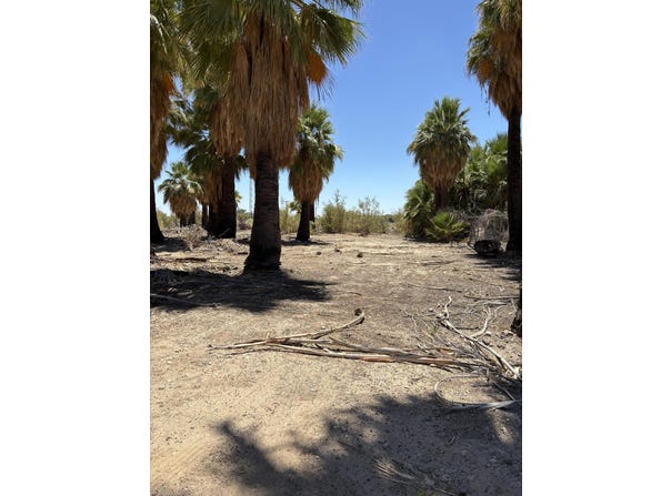 51 W 4th St, Niland, CA 92257