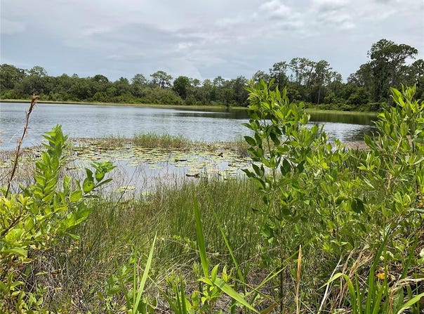 Tbd Lot 58 MALAUKA RADIAL TRAIL, OCKLAWAHA, FL 32179