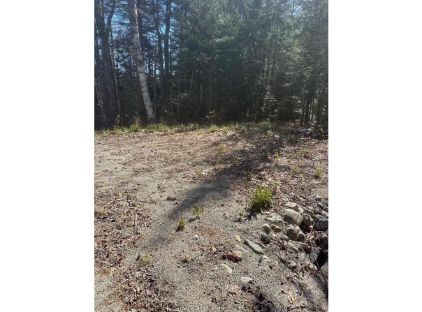 Route 1, Gouldsboro, ME 04607