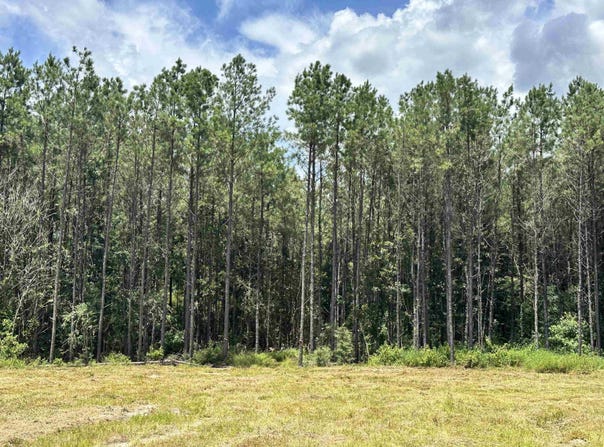 TBD County Road 4210, Woodville, TX 75979