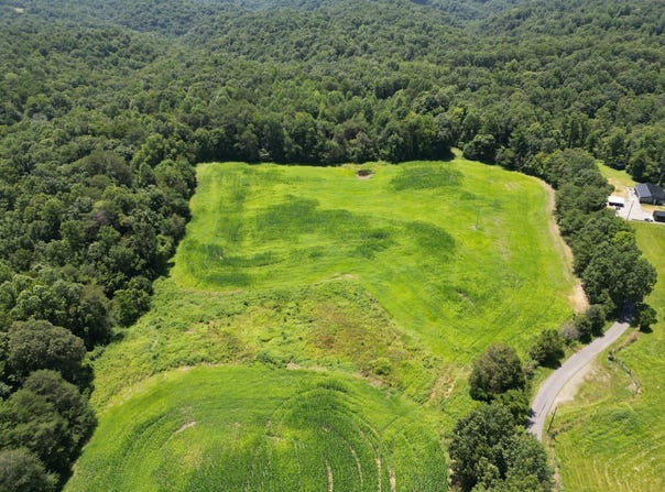 81 Shearer Cemetery Ln, Columbia, KY 42728