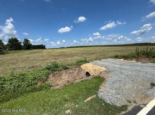 0 Suttontown Road, Faison, NC 28341
