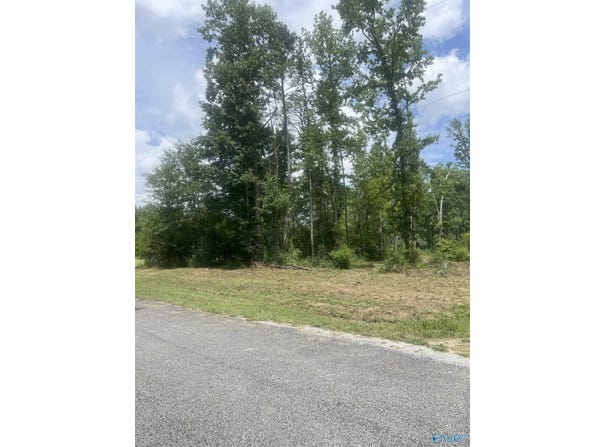 2 Acres Indian Springs Road, Glencoe, AL 35905