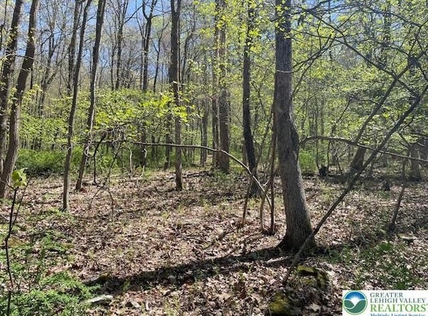 23 Lot Hemlock Road, KUNKLETOWN, PA 18058