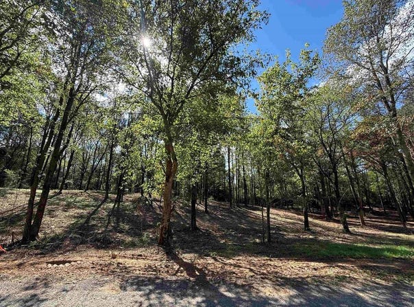 310 Co Rd 1123, Vinemont, AL 35179
