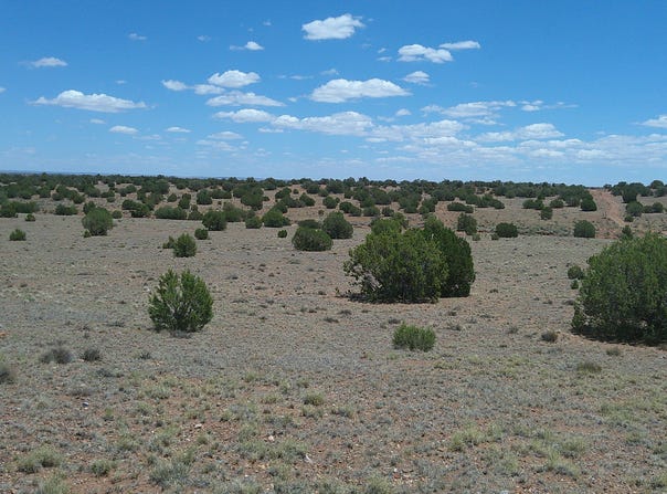 Tbd Ranch of the White Mountains, Concho, AZ 85924