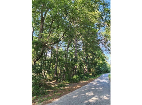 000 Shannon Dr, Leola, AR 72084