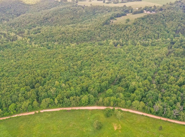 Tbd County Road 95-246, Drury, MO 65638