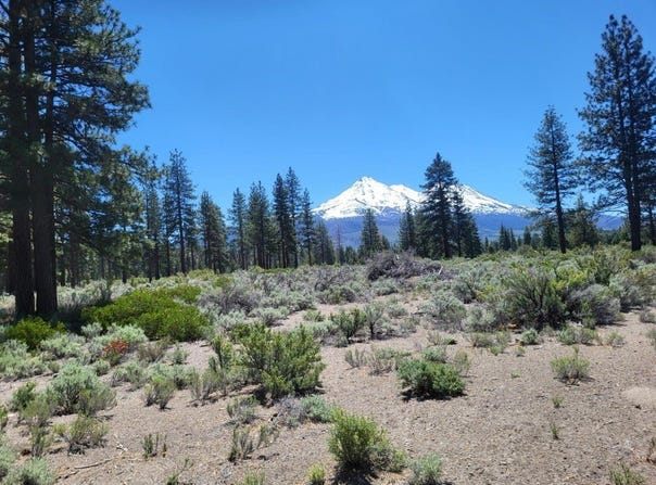 11 Acres A-12, Montague, CA 96064