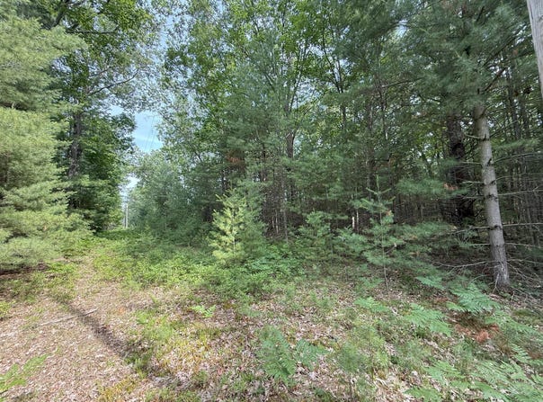 Critter Trail, Manistee, MI 49660