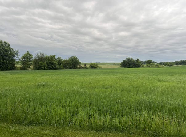 20.37 Ac S Main Street, Reeseville, WI 53579