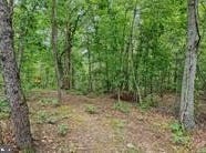 GALILEE ROAD, BIG POOL, MD 21711