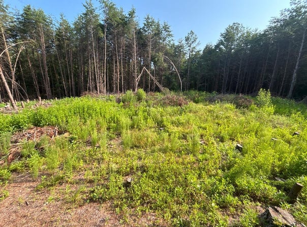 0 Felix Road, Nathalie, VA 24577