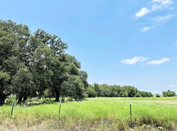 Deer Haven Tract 4 County Road 265, Gatesville, TX 76528