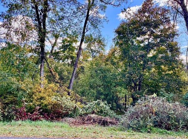 WHITE OAK DR E, RAWLINGS, MD 21557
