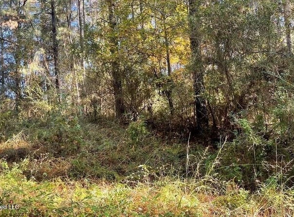 Schmidt Road, McComb, MS 39648