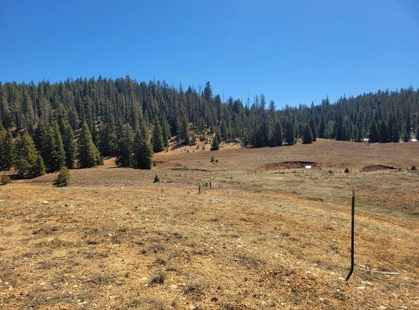 520 N Grassy Trail, Duck Creek, UT 84762