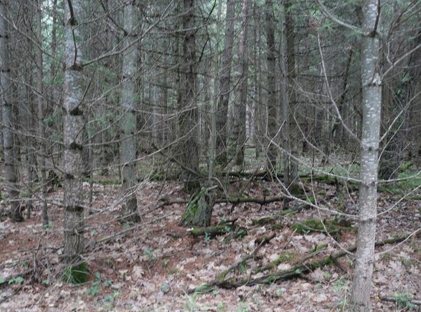 Lot 4 CTH J, Mercer, WI 54547