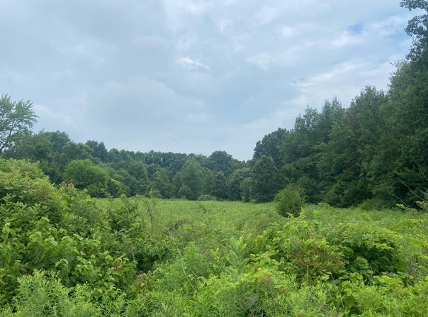52700 Parkville Road, Three Rivers, MI 49093