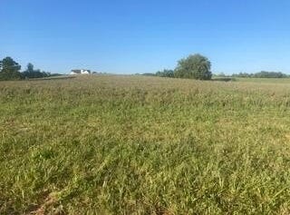 0000 Cedar Road, Stamping Ground, KY 40379