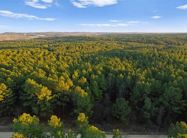 456 Pine Hills Road, Broken Bow, OK 74728