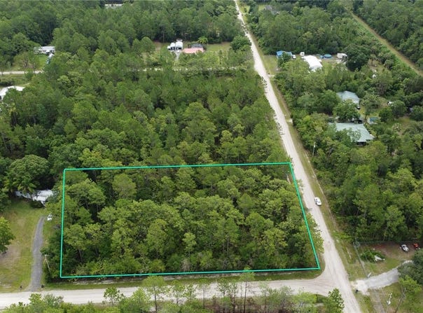 4694 CLOVE AVENUE, BUNNELL, FL 32110