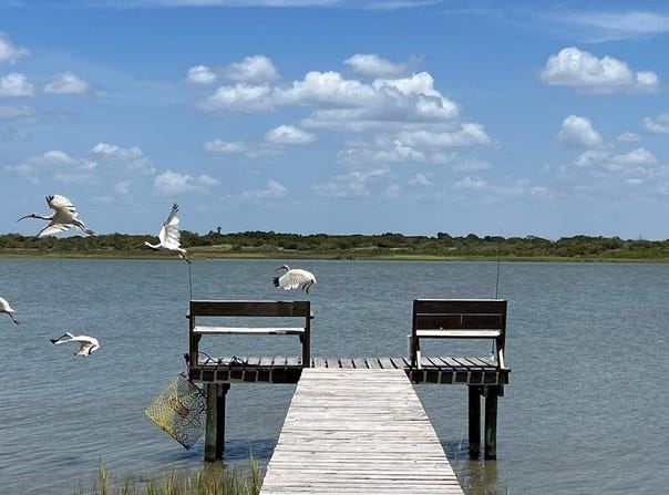 9,10,11 Speckled Trout Loop, Palacios, TX 77465