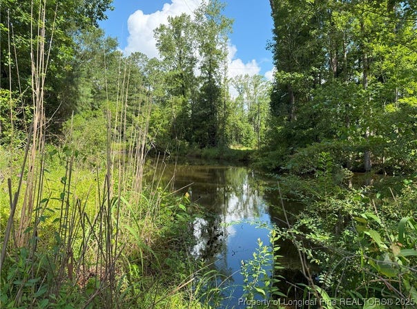 1111 Hollow Bridge Road, Autryville, NC 28318