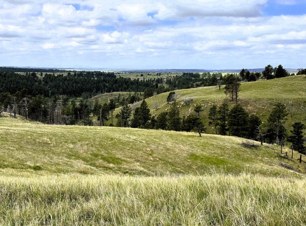 TBD Gruenhagen Road, Moorcroft, WY 82721
