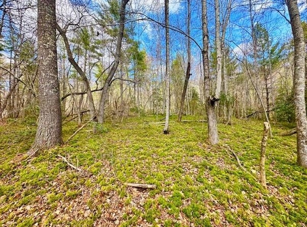 144 Gunter Place Rd, Sunbright, TN 37872
