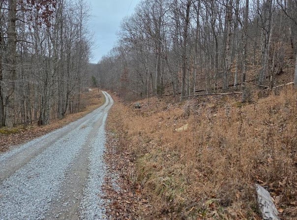 Evans Hollow, Hillsboro, KY 41049