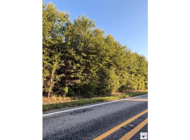TRACT 17 HWY 990, Simms, TX 75574