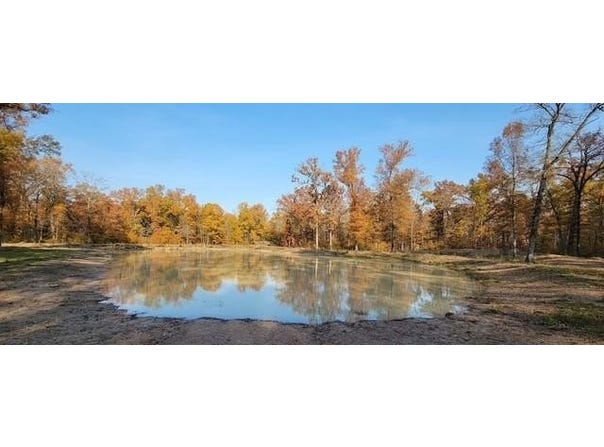 1356 County Road 1470, Bogata, TX 75417