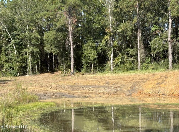 Sunfish Lane lot: 2, Lucedale, MS 39452