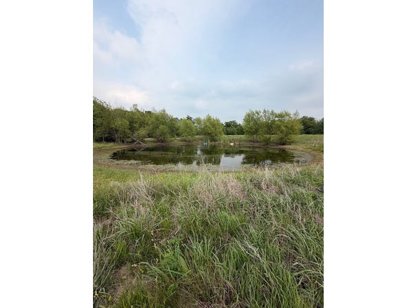 345 CR 3346, Hubbard, TX 76648