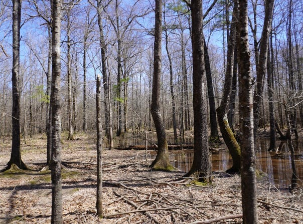 000 Hwy 167 N, Fordyce, AR 71742