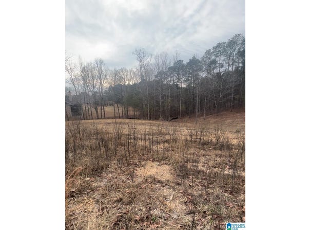 LAKESHORE LOOP lot: 1, ONEONTA, AL 35121