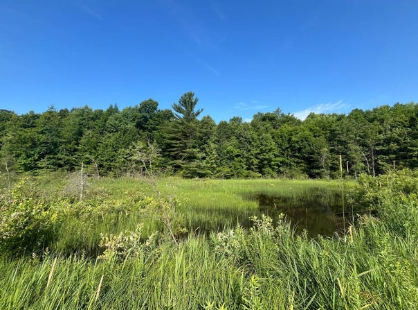 00 Stone Rd, Pitcairn, NY 13648
