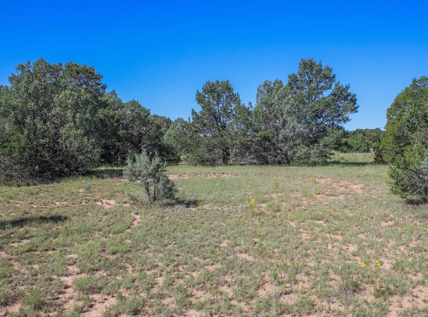8 Reload, Tijeras, NM 87059