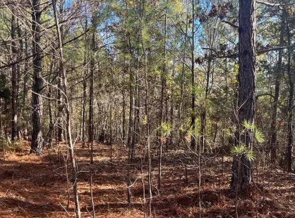 5030 SAND MOUNTAIN Rd, Enville, TN 38332