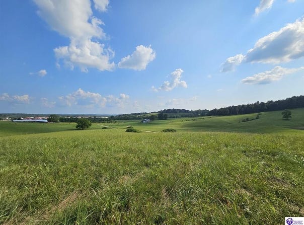 Tract 11 Troutman Lane, Clarkson, KY 42726-9999