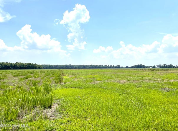 Parcel B Simpson Ditch Rd, Elizabeth City, NC 27909