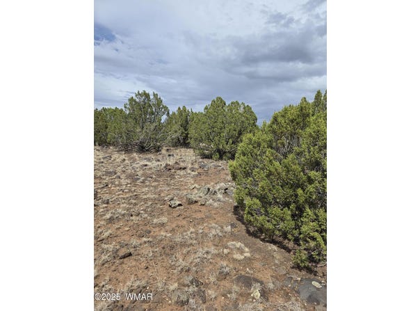 8770 Supancheck Road, Show Low, AZ 85901