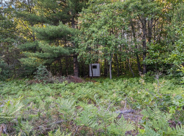 3289 N Felch Avenue, White Cloud, MI 49349